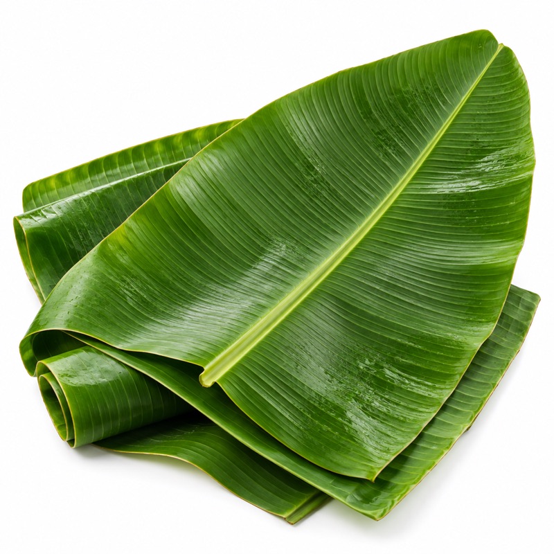 Banana Leaves